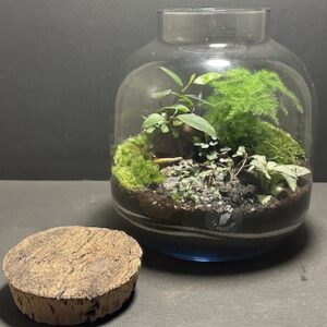 Mini-jardin T-737 prix 75 € (Vendu)