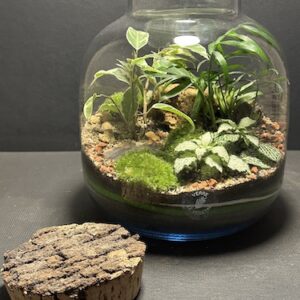 Mini-jardin T-742 prix 70 € (Vendu)