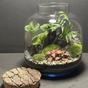 Mini-jardin T-743 prix 70 € (Vendu)