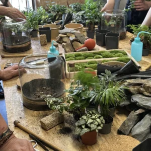 Atelier Terrarium