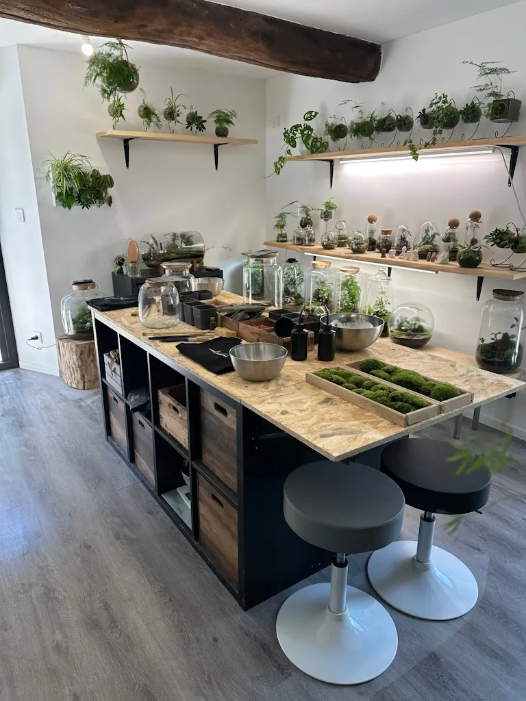 Ateliers Terrariums