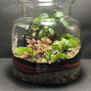 Mini-jardin T-750 prix 55 €