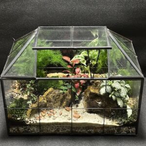 Mini-jardin T-753 prix 110 €
