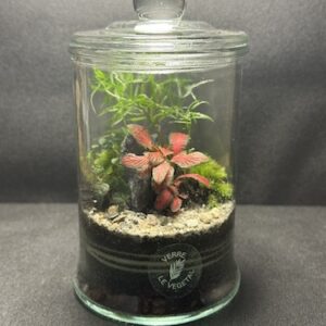 Mini-jardin T-755 prix 30 €