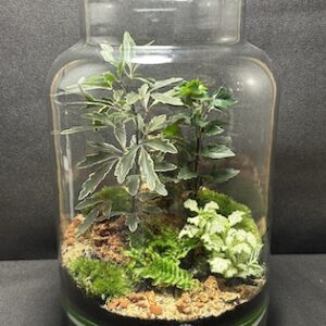 Mini-jardin T-757 prix 75 €
