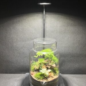 Mini-jardin T-758 prix 55 €