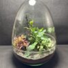 Mini-jardin T-763 prix 70 € - Thumbnail Image 1