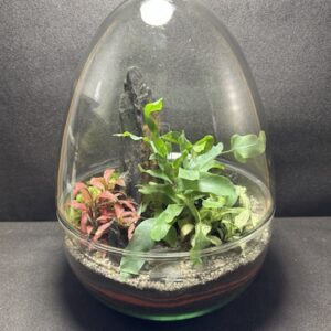 Mini-jardin T-763 prix 70 €