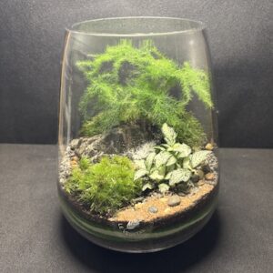Mini-jardin T-759 prix 45 €