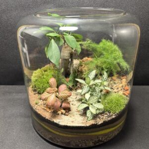 Mini-jardin T-761 prix 65 €
