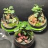 Mini-jardins Oeuf prix 45 € - Thumbnail Image 2