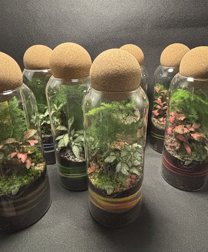 Mini-jardins boule liège 35 € – Image 1