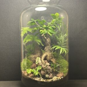 Mini-jardin T-766 prix 149 €